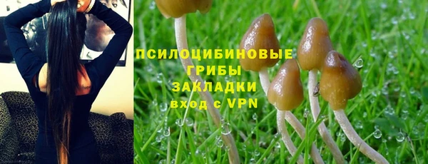 ГАЛЛЮЦИНОГЕННЫЕ ГРИБЫ Балабаново