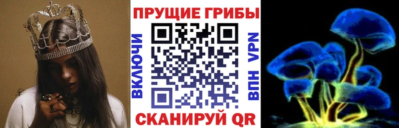 Галлюциногенные грибы Magic Shrooms  гидра маркетплейс  Афипский 